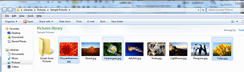 Windows Picture Library Folder